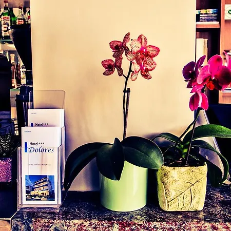 Dolores 3*